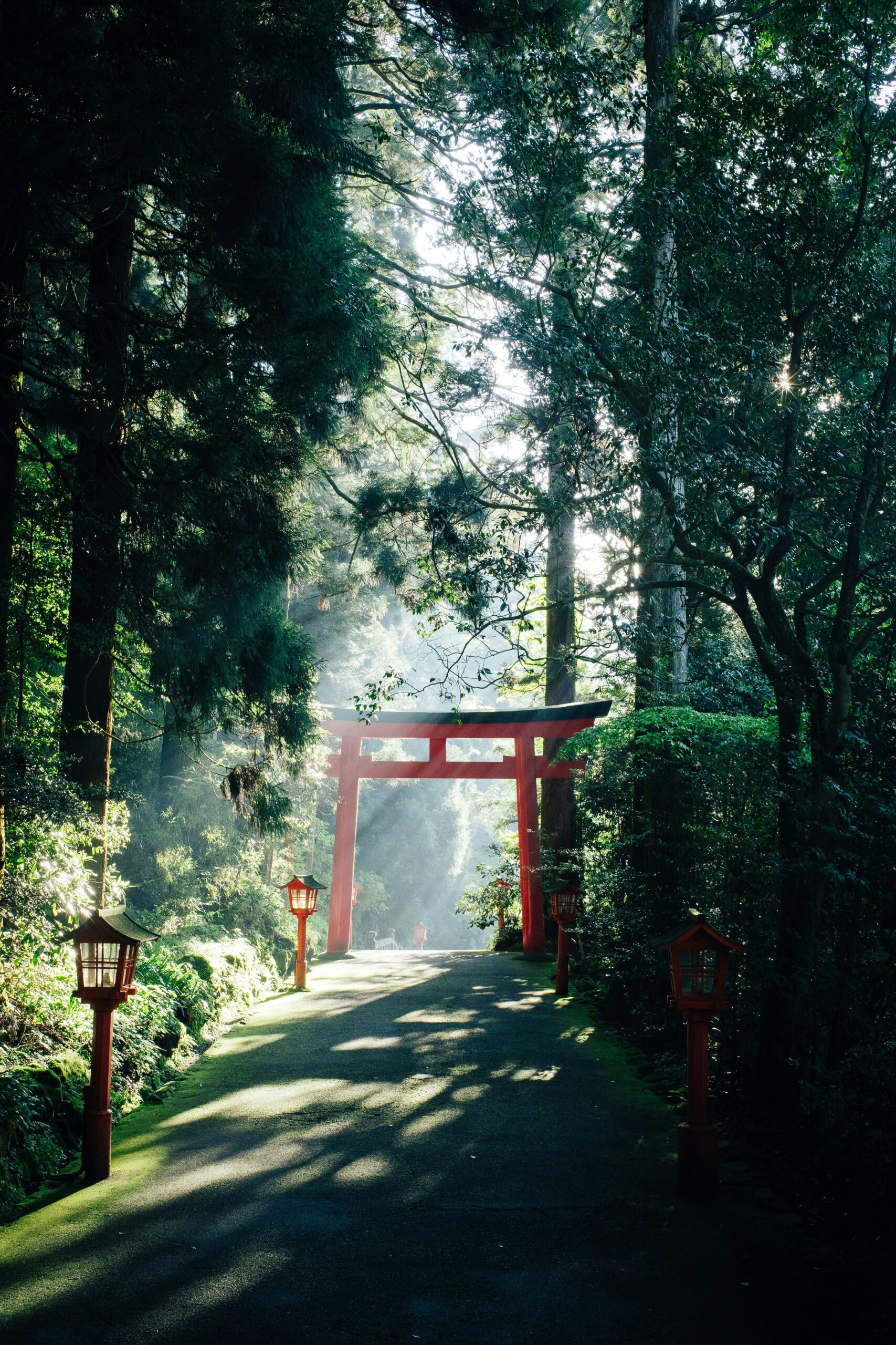 Hello World Featured Image
